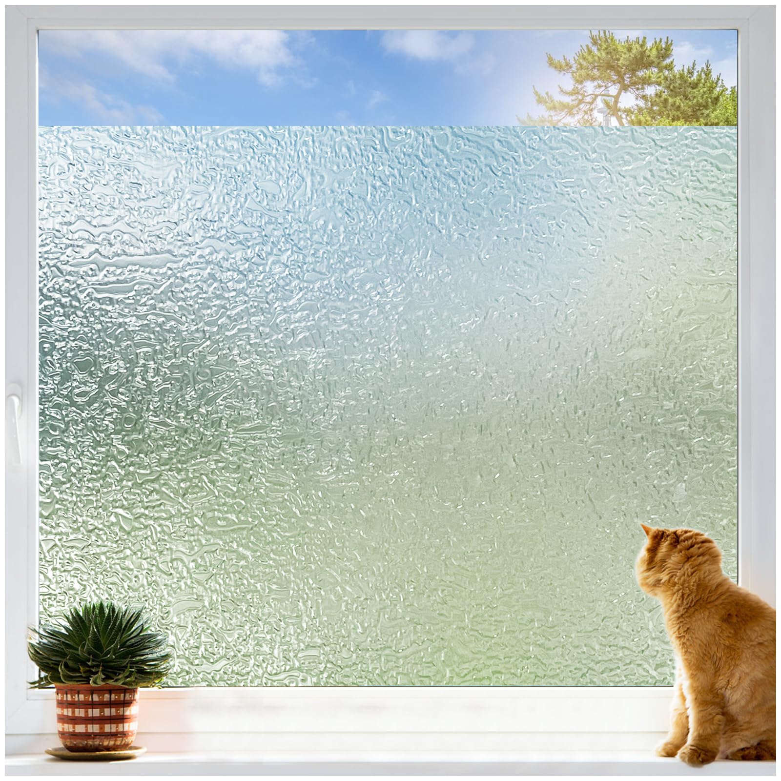 Frosted Window Film